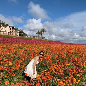 Meet your Posher, Anne